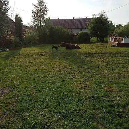 Zrodlana 46